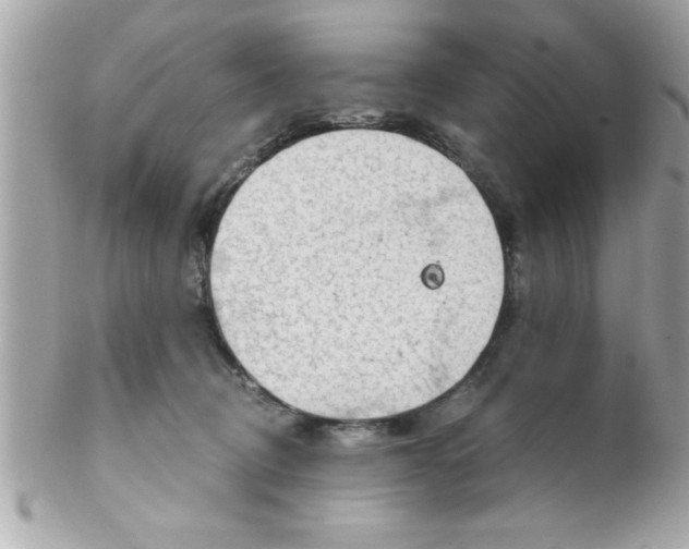 X0000102300370200808152023