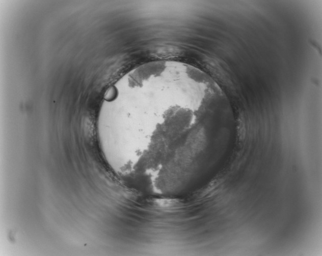 X0000102300371200808152023