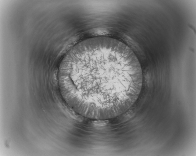 X0000102300373200808152023