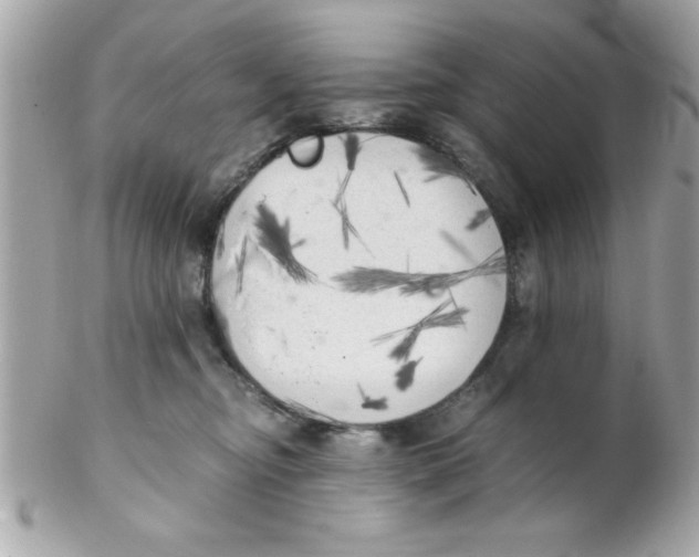 X0000102300374200808152023