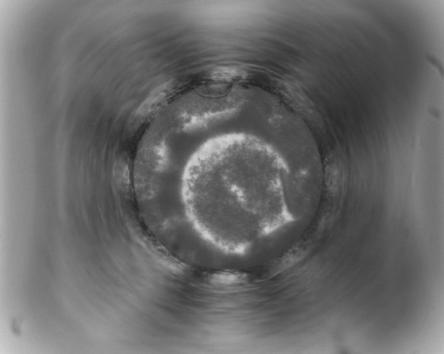 X0000102300375200808152023