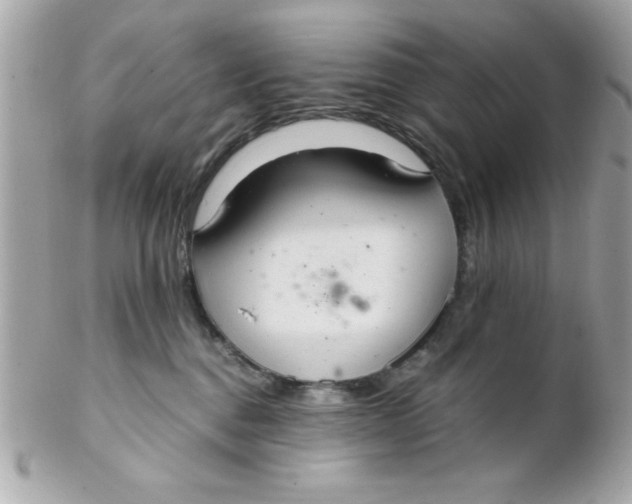 X0000102300376200808152024