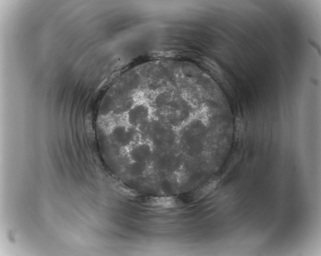 X0000102300377200808152024
