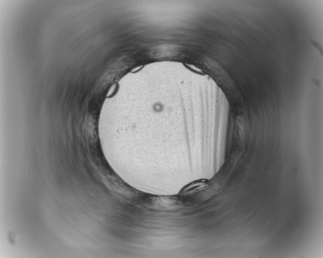 X0000102300380200808152024