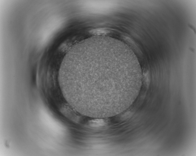 X0000102300381200808152024