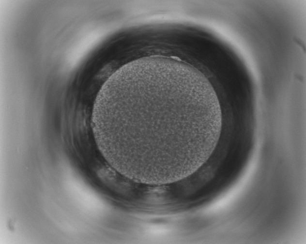 X0000102300382200808152024