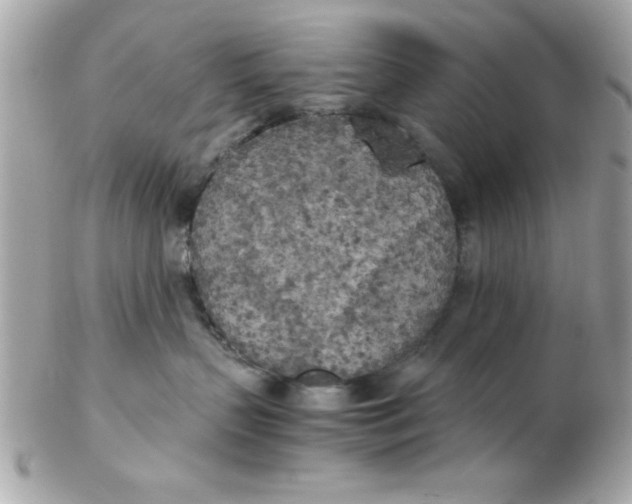 X0000102300383200808152024