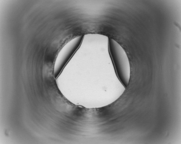 X0000102300384200808152024
