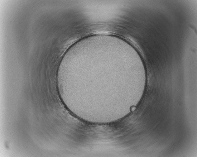 X0000102300385200808152023