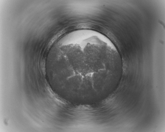 X0000102300386200808152023