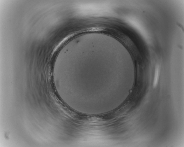 X0000102300387200808152023