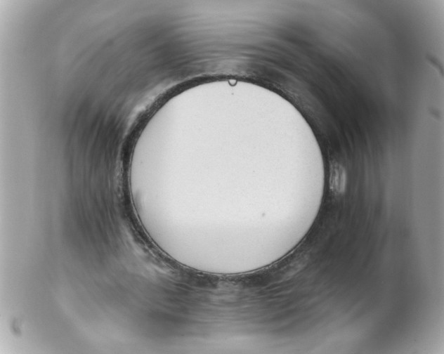 X0000102300388200808152023