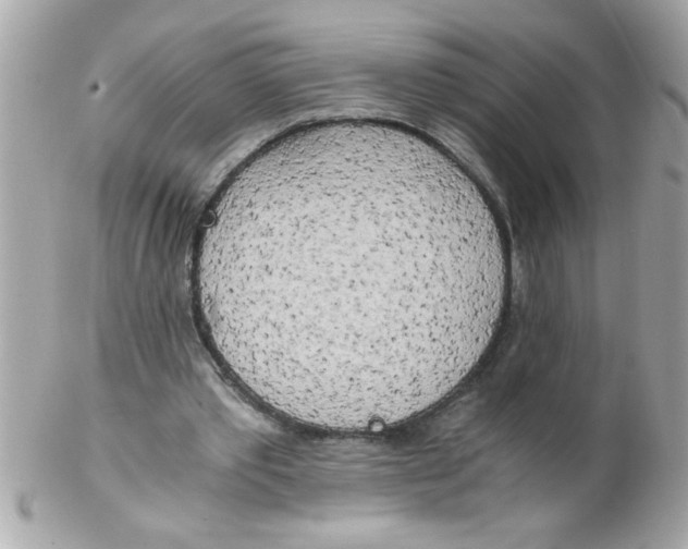 X0000102300389200808152023