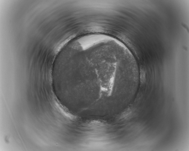 X0000102300390200808152023