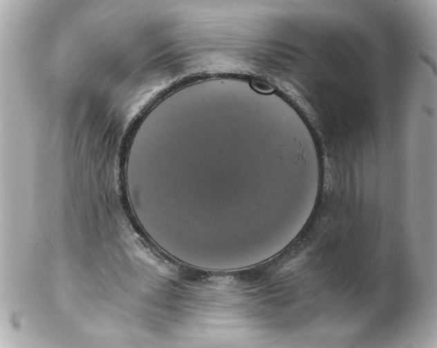 X0000102300391200808152023
