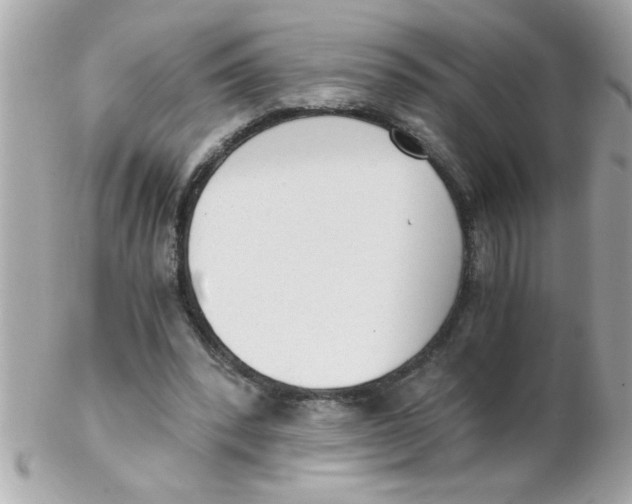 X0000102300392200808152023