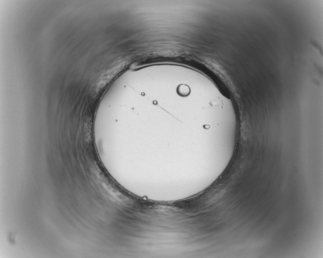 X0000102300393200808152023