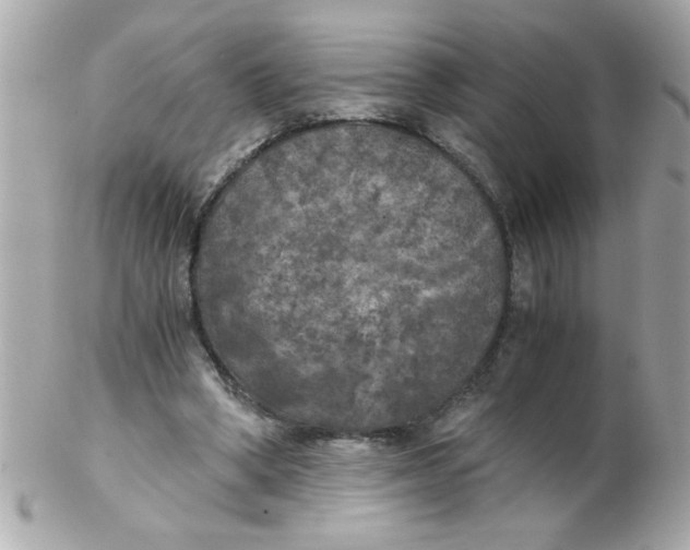 X0000102300394200808152023