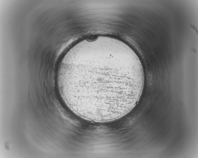 X0000102300395200808152023