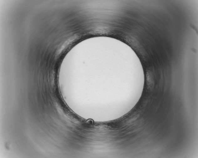 X0000102300396200808152023