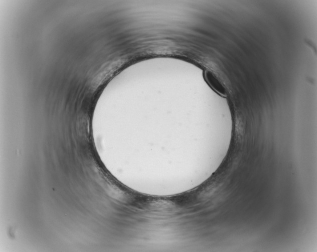 X0000102300397200808152023