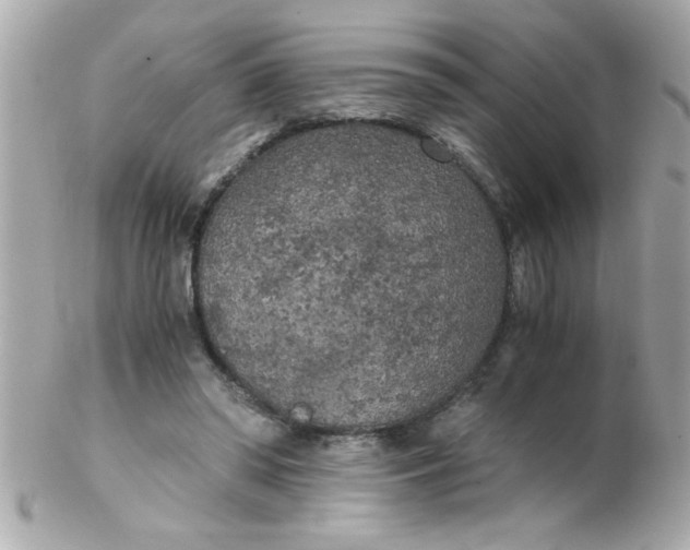 X0000102300398200808152023