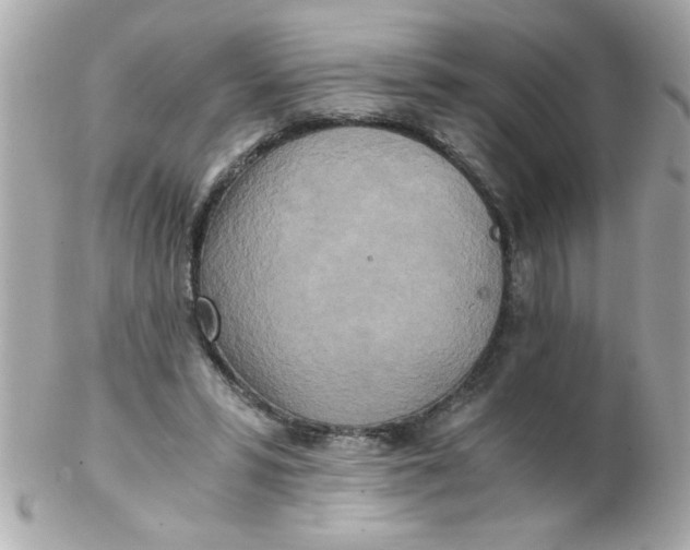 X0000102300399200808152023