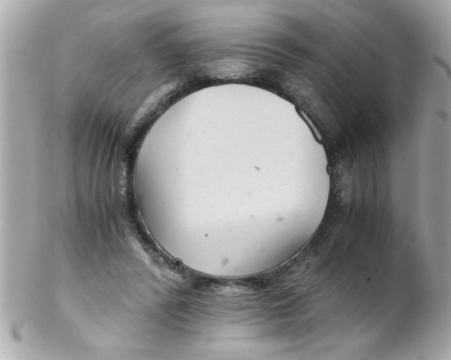 X0000102300400200808152023