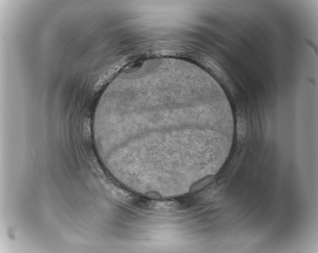 X0000102300401200808152023