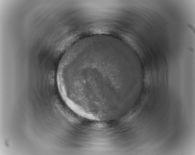 X0000102300402200808152023