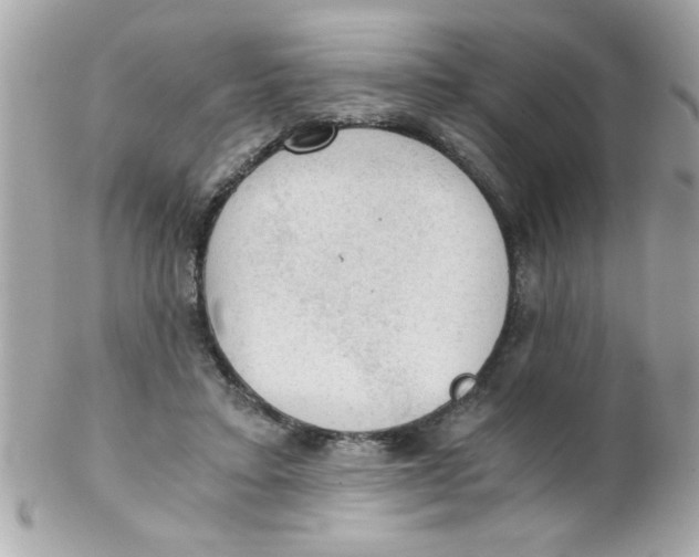 X0000102300403200808152023