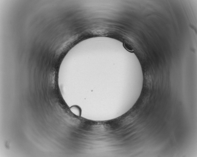 X0000102300404200808152023