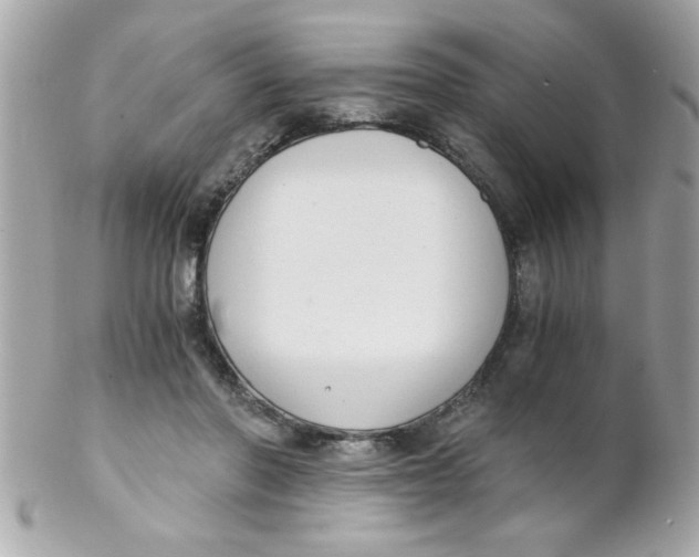 X0000102300406200808152022