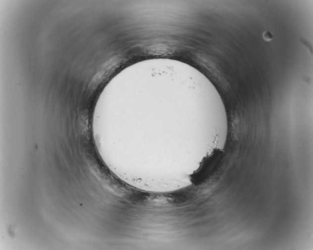 X0000102300407200808152022