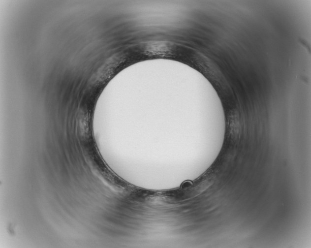 X0000102300408200808152022