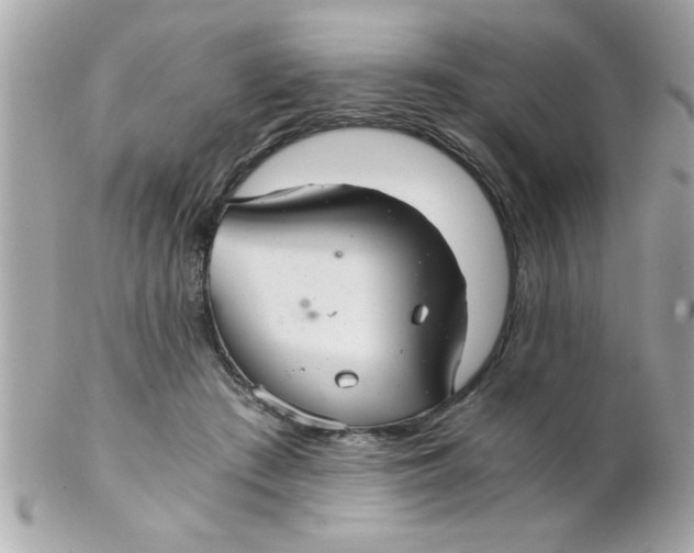 X0000102300409200808152022