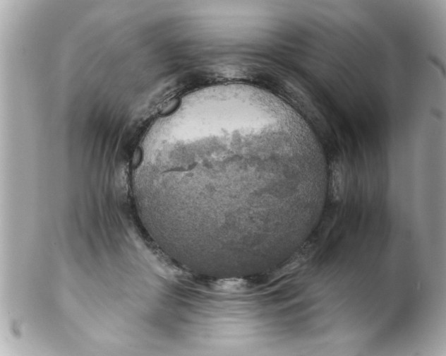 X0000102300410200808152022