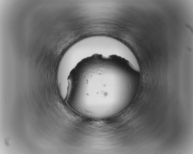 X0000102300411200808152022