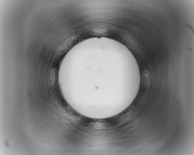 X0000102300412200808152022