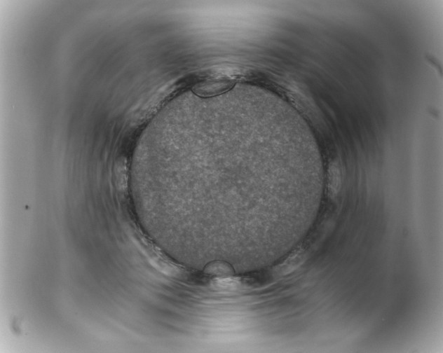 X0000102300413200808152022
