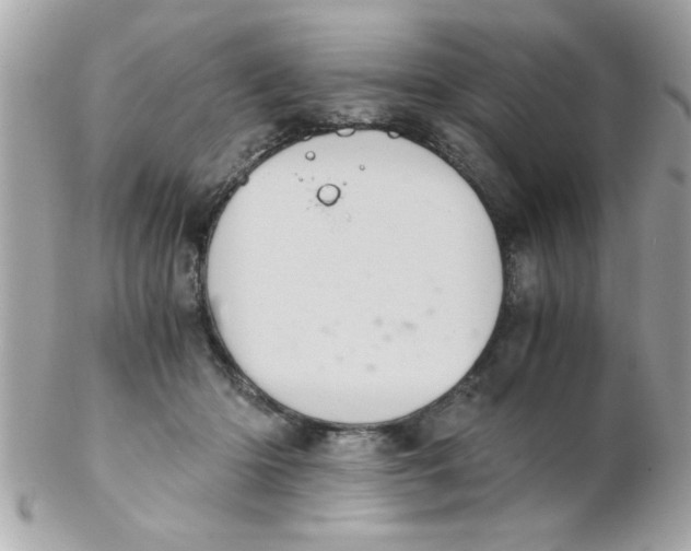 X0000102300414200808152022