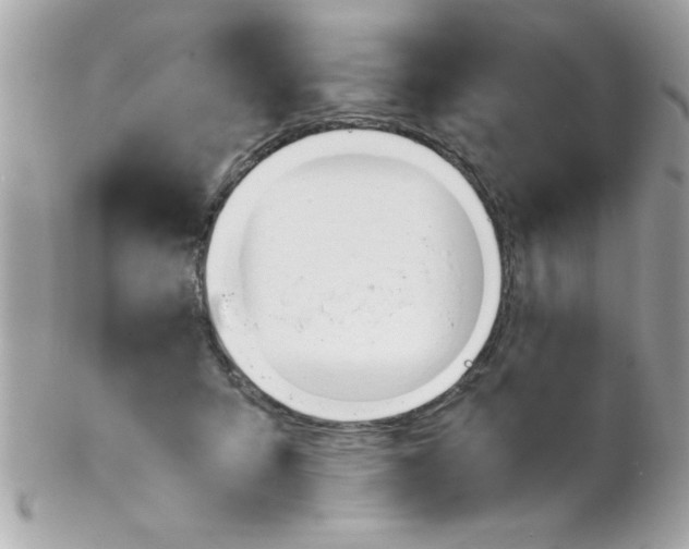 X0000102300415200808152022