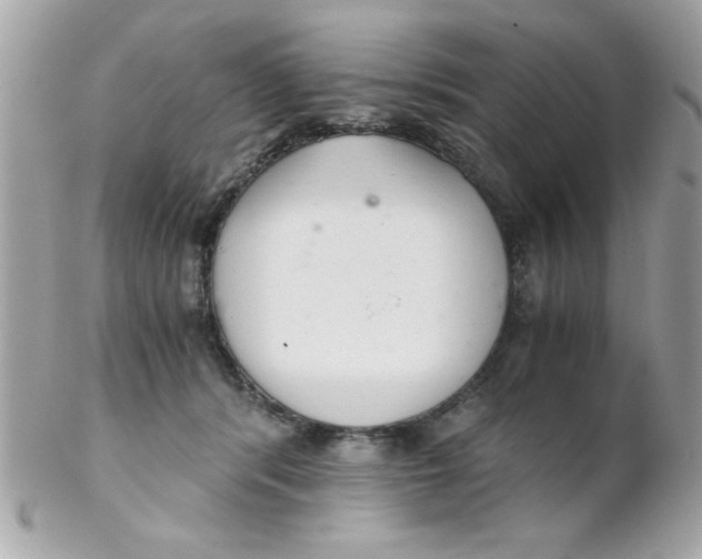 X0000102300416200808152022