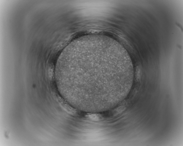 X0000102300417200808152022