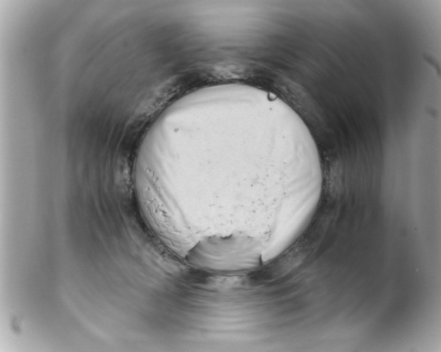 X0000102300418200808152022