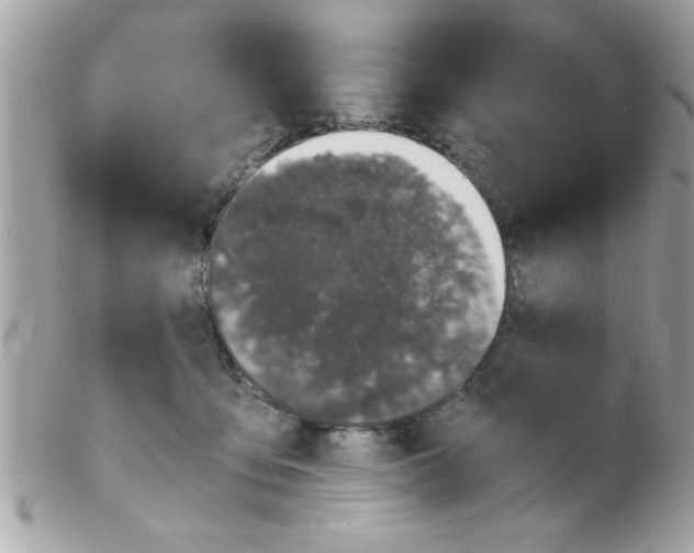 X0000102300419200808152022