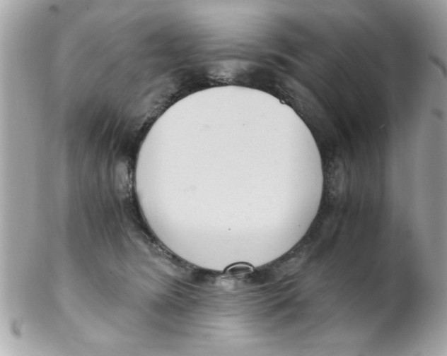 X0000102300420200808152022