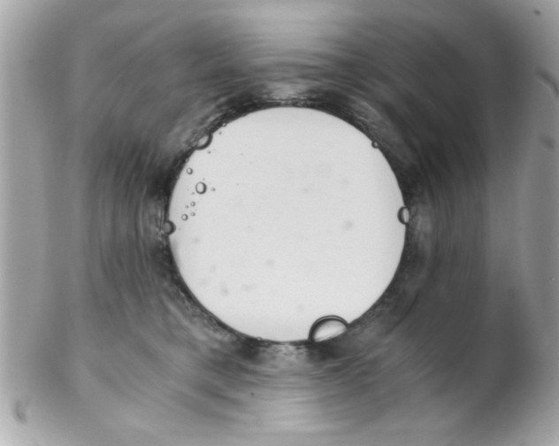 X0000102300421200808152022