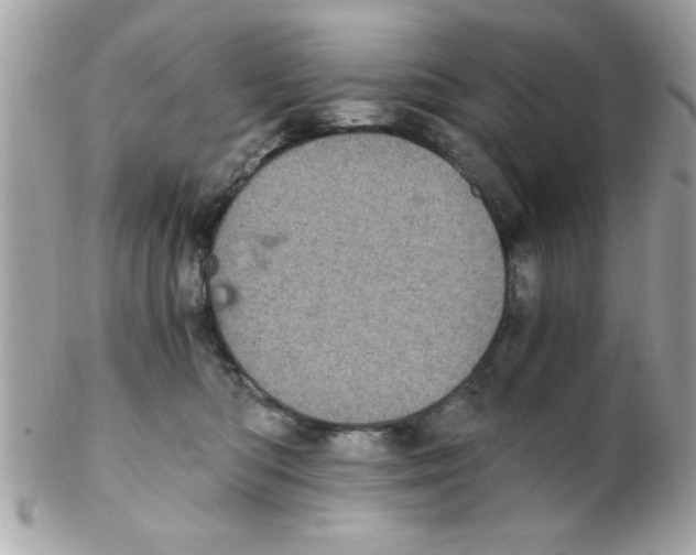 X0000102300422200808152022