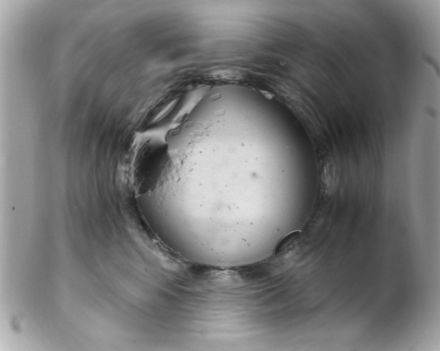X0000102300424200808152022